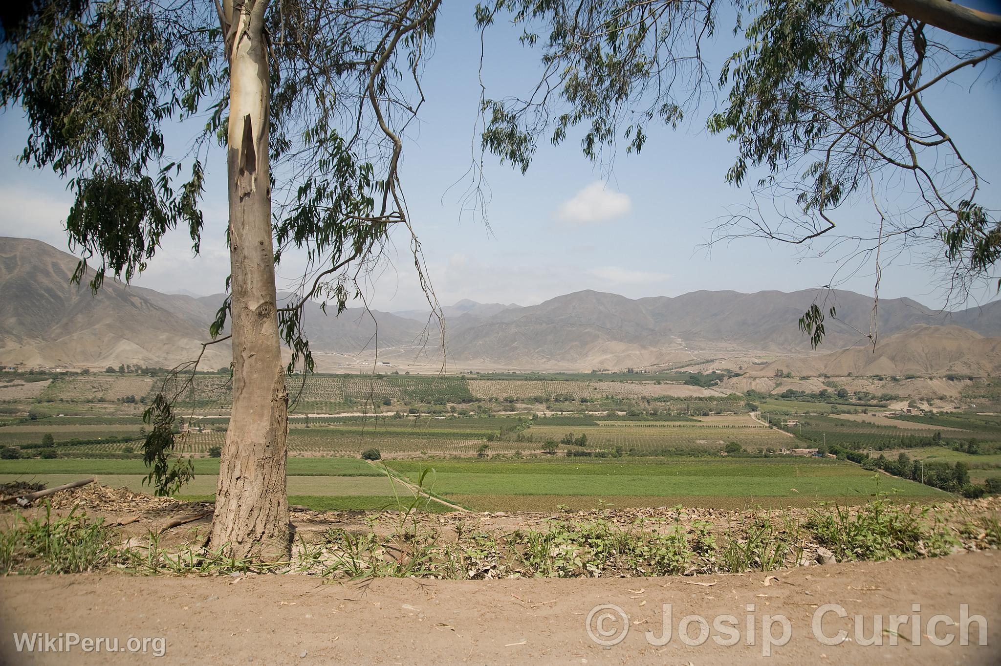 Azpitia Countryside