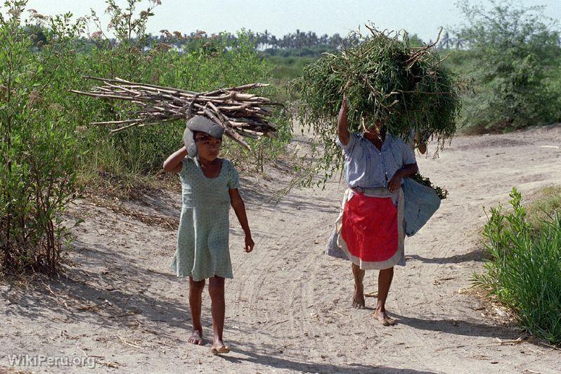 Villagers from the outskirts of Tumbes