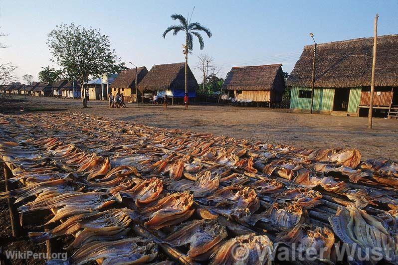 Fish Drying in Puinahua, Requena