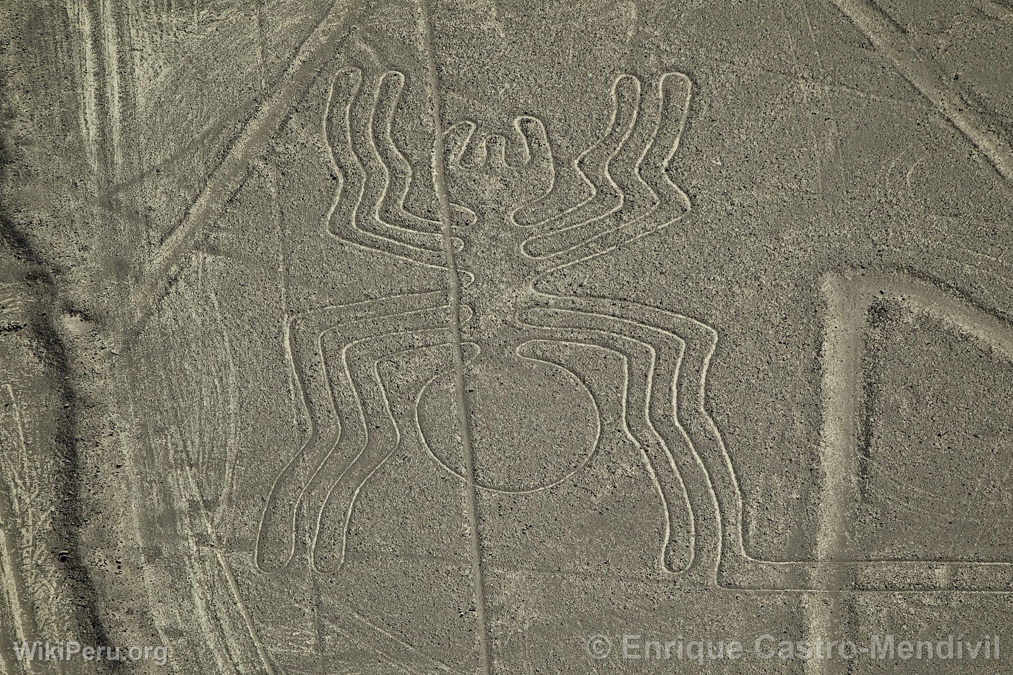 Nazca lines