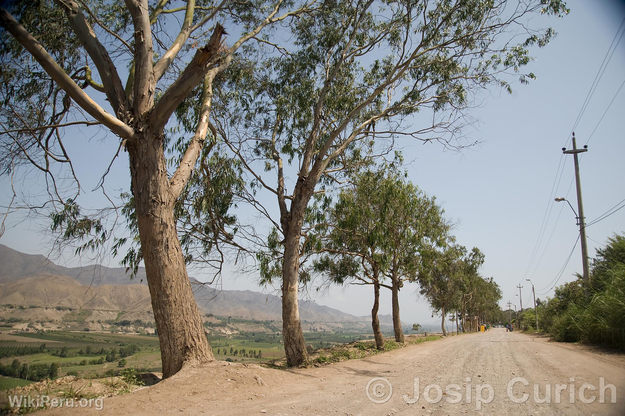 Azpitia Countryside