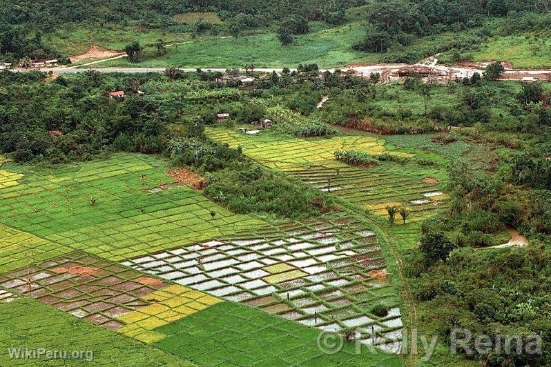 Agricultural activity