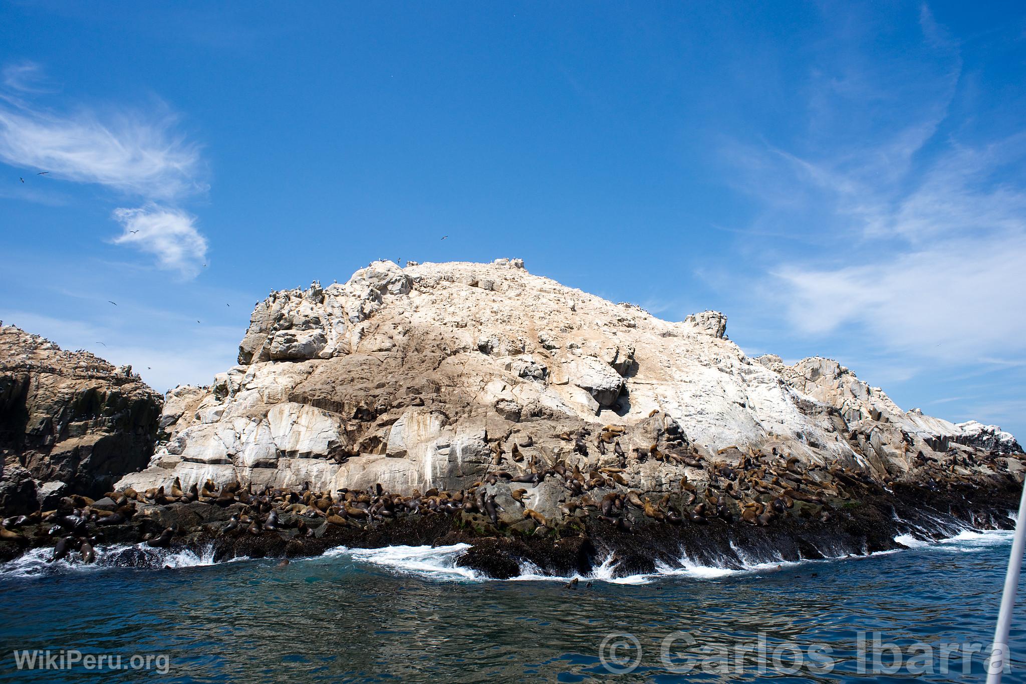 Islet of Palomino Islands, Callao