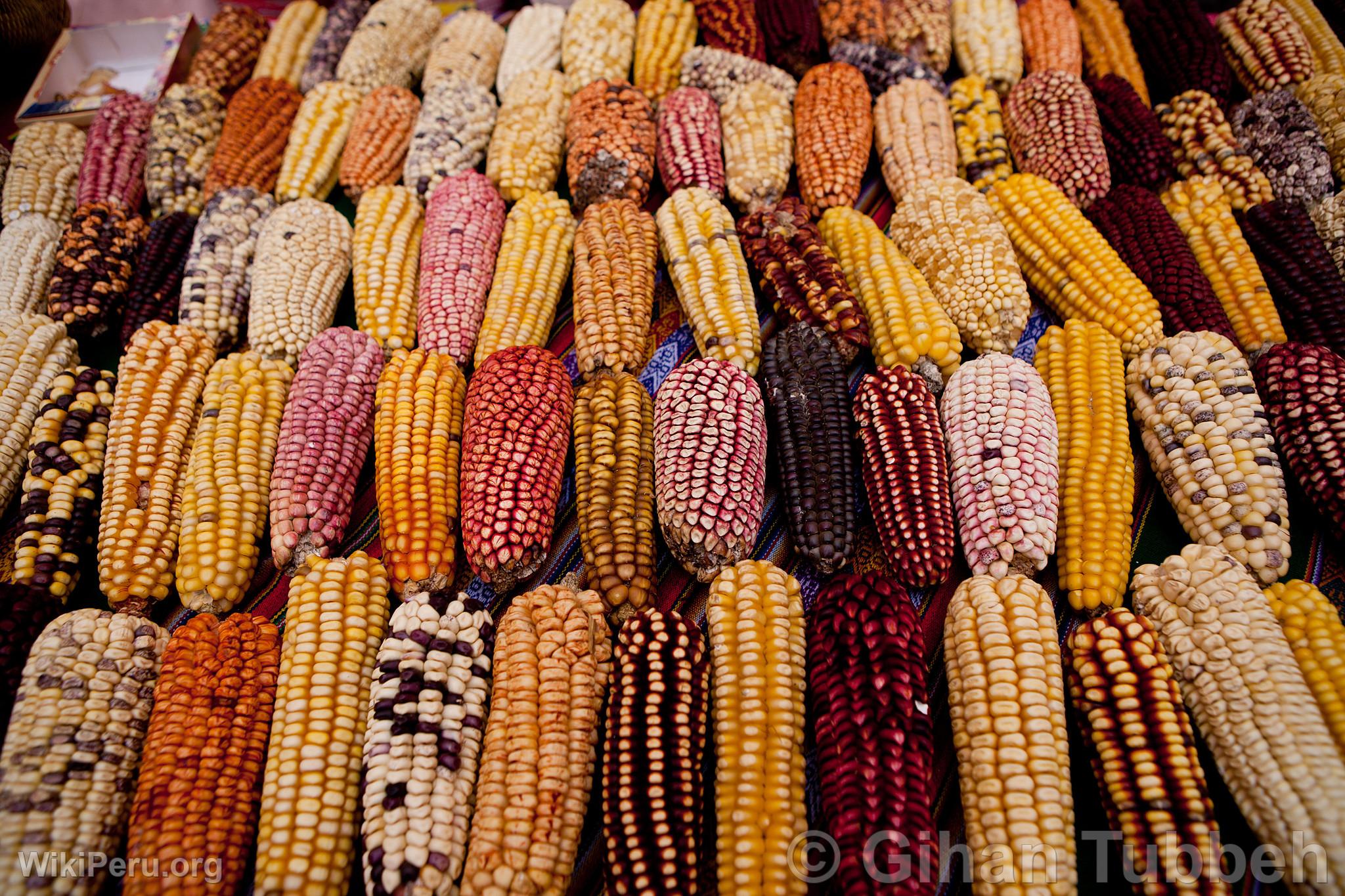 Varieties of Corn