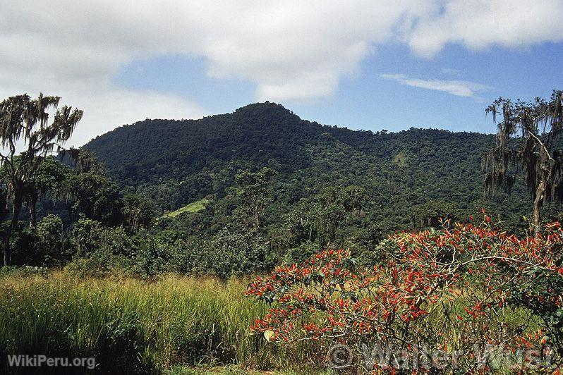 Tumbes Reserved Zone