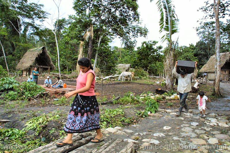 Paraiso Community, Picota district