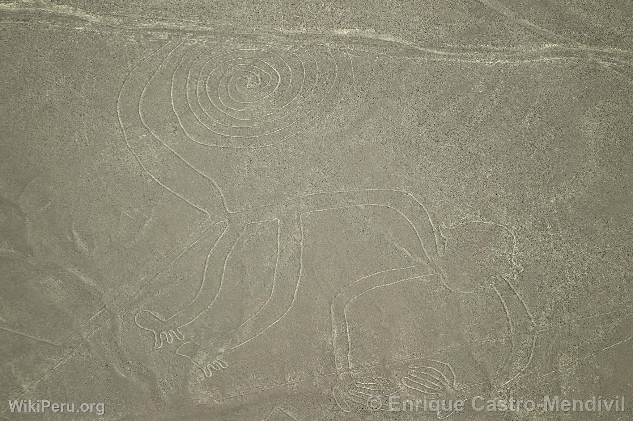 Nazca lines