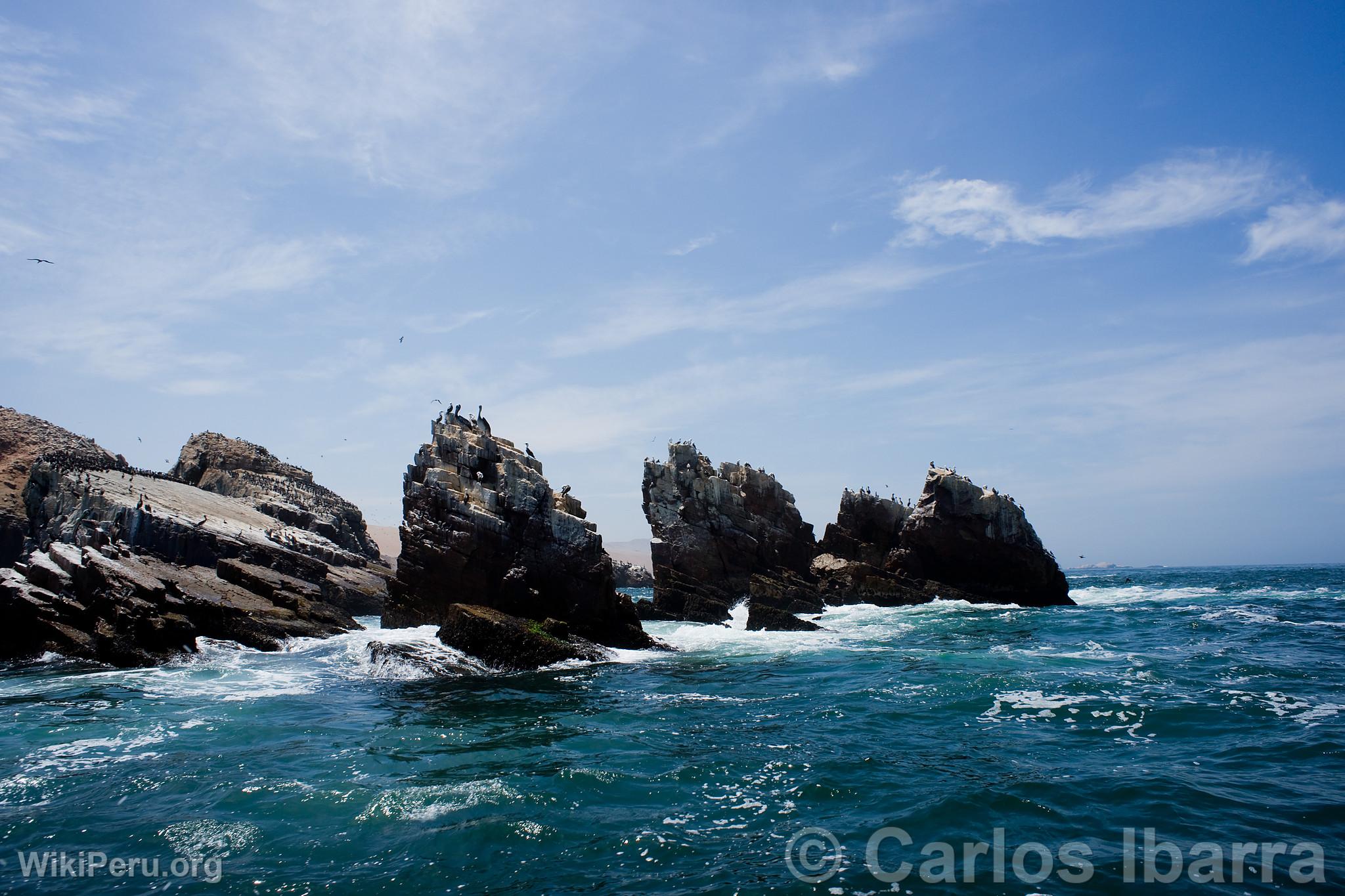 Islet of Palomino Islands, Callao