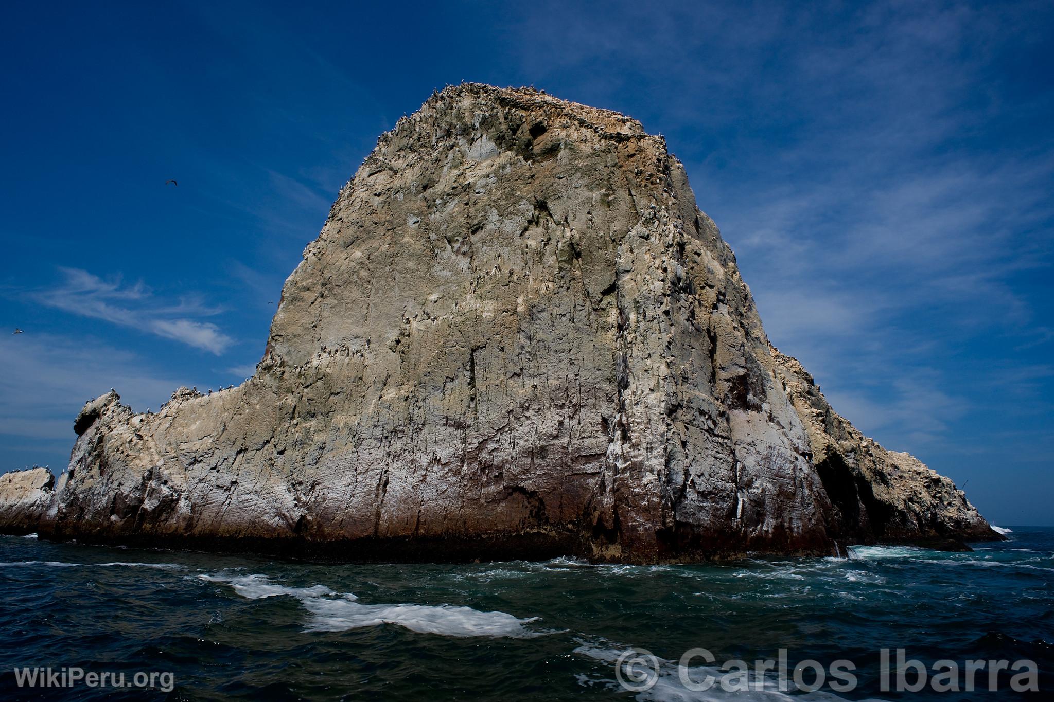 Islet of Palomino Islands, Callao