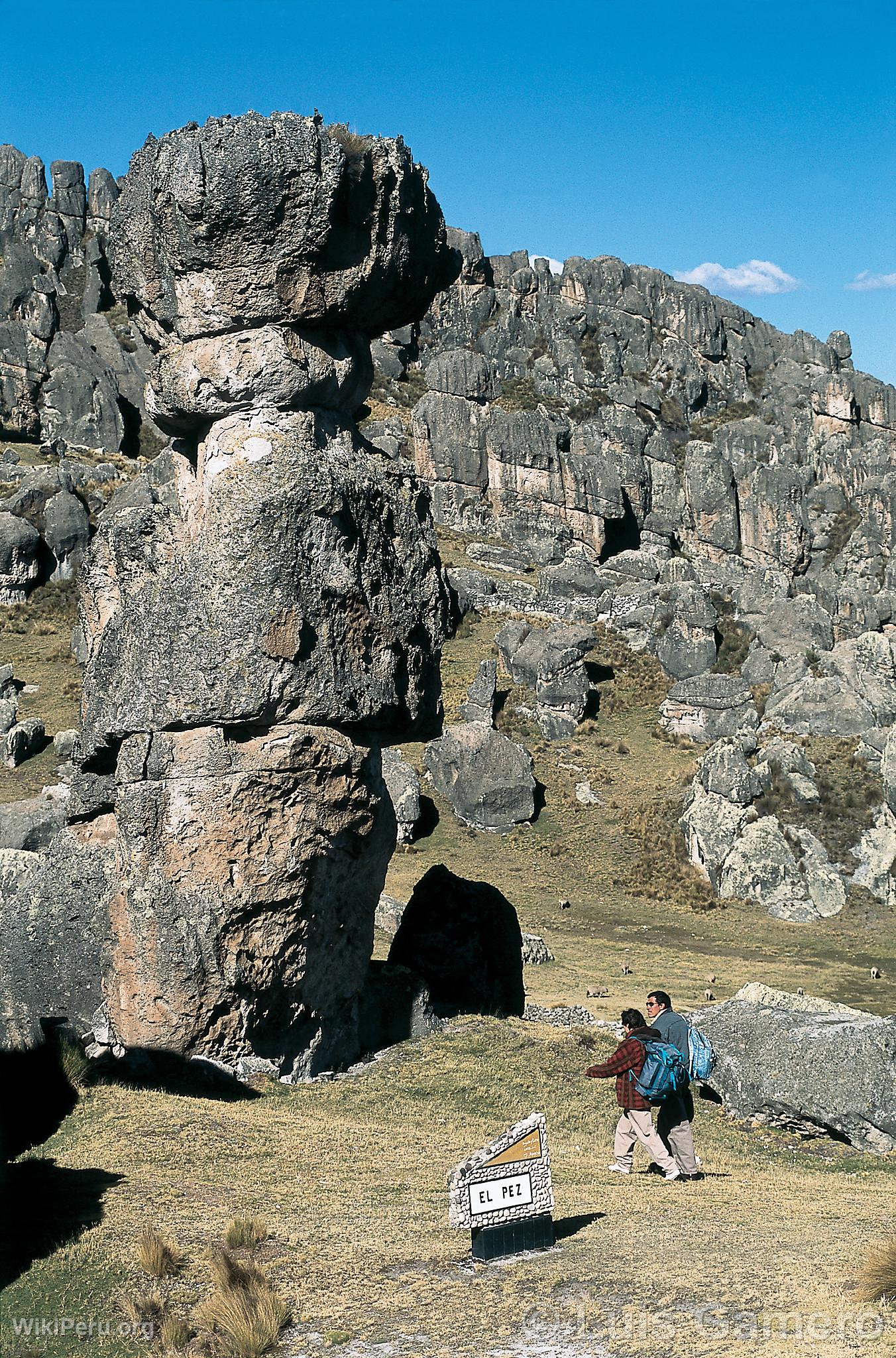 National Sanctuary of Huayllay