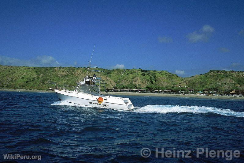 Yacht in the mangroves