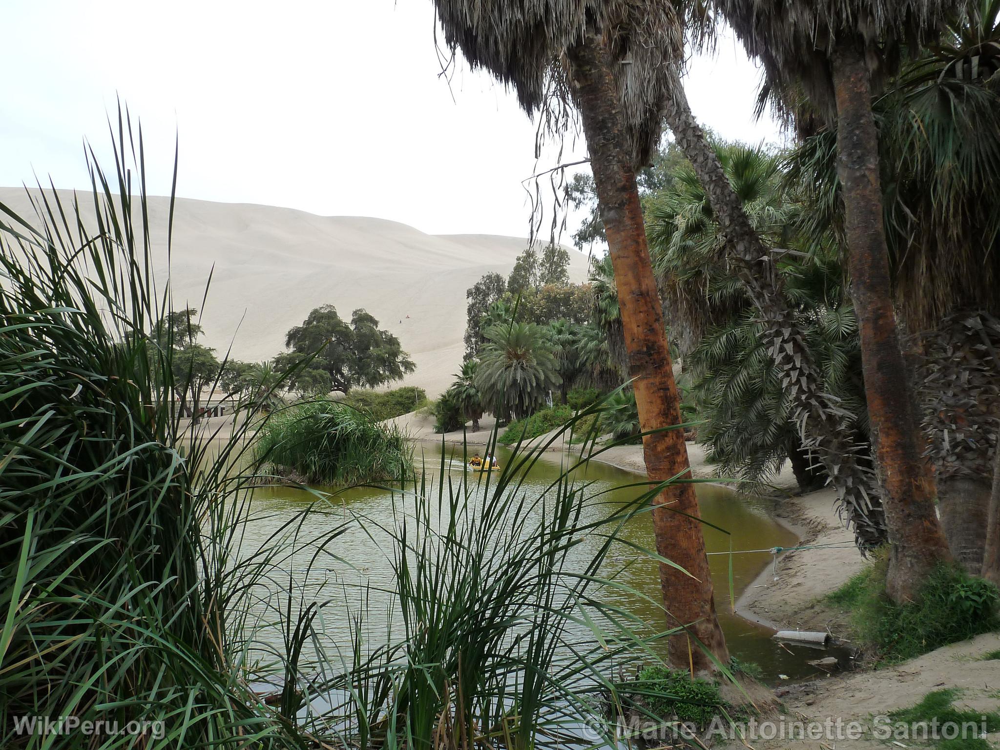 Huacachina