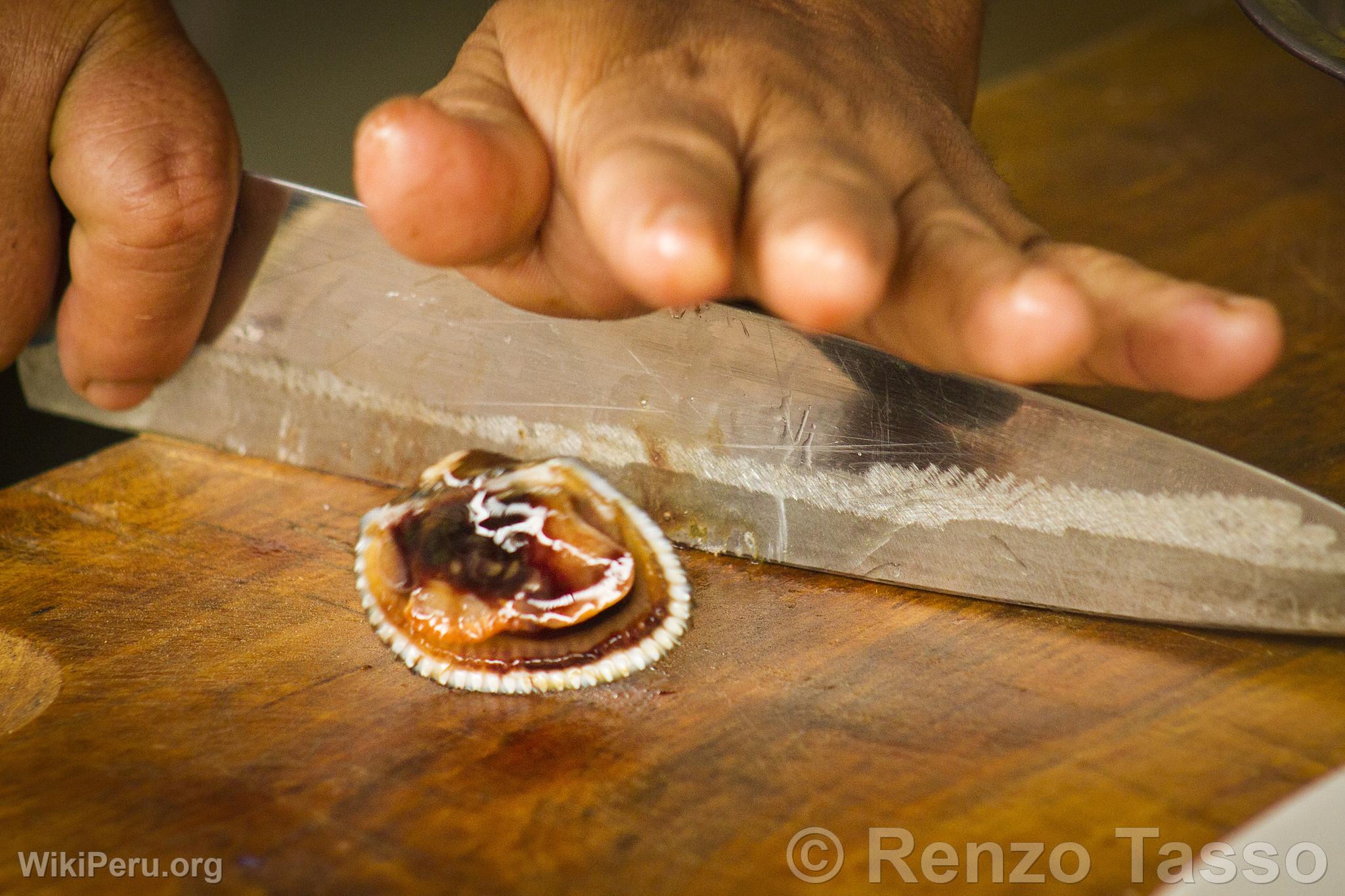 Black Shells Ceviche