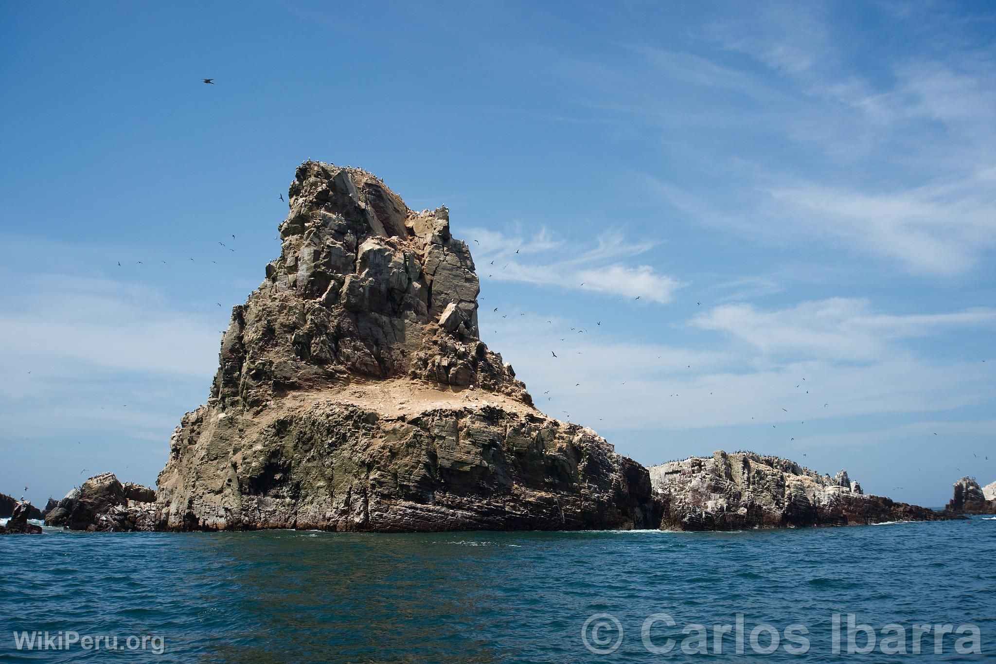 Islet of Palomino Islands, Callao