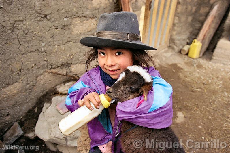 Girl farmer of Uchuraccay