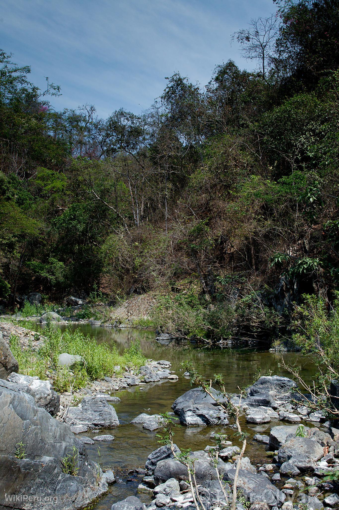 Cerros de Amotape National Park