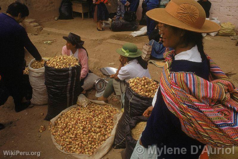 Maca Vendors, Junn