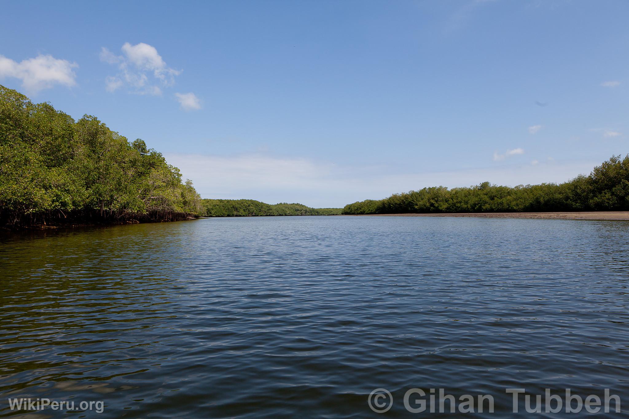 National Sanctuary of the Tumbes Mangroves