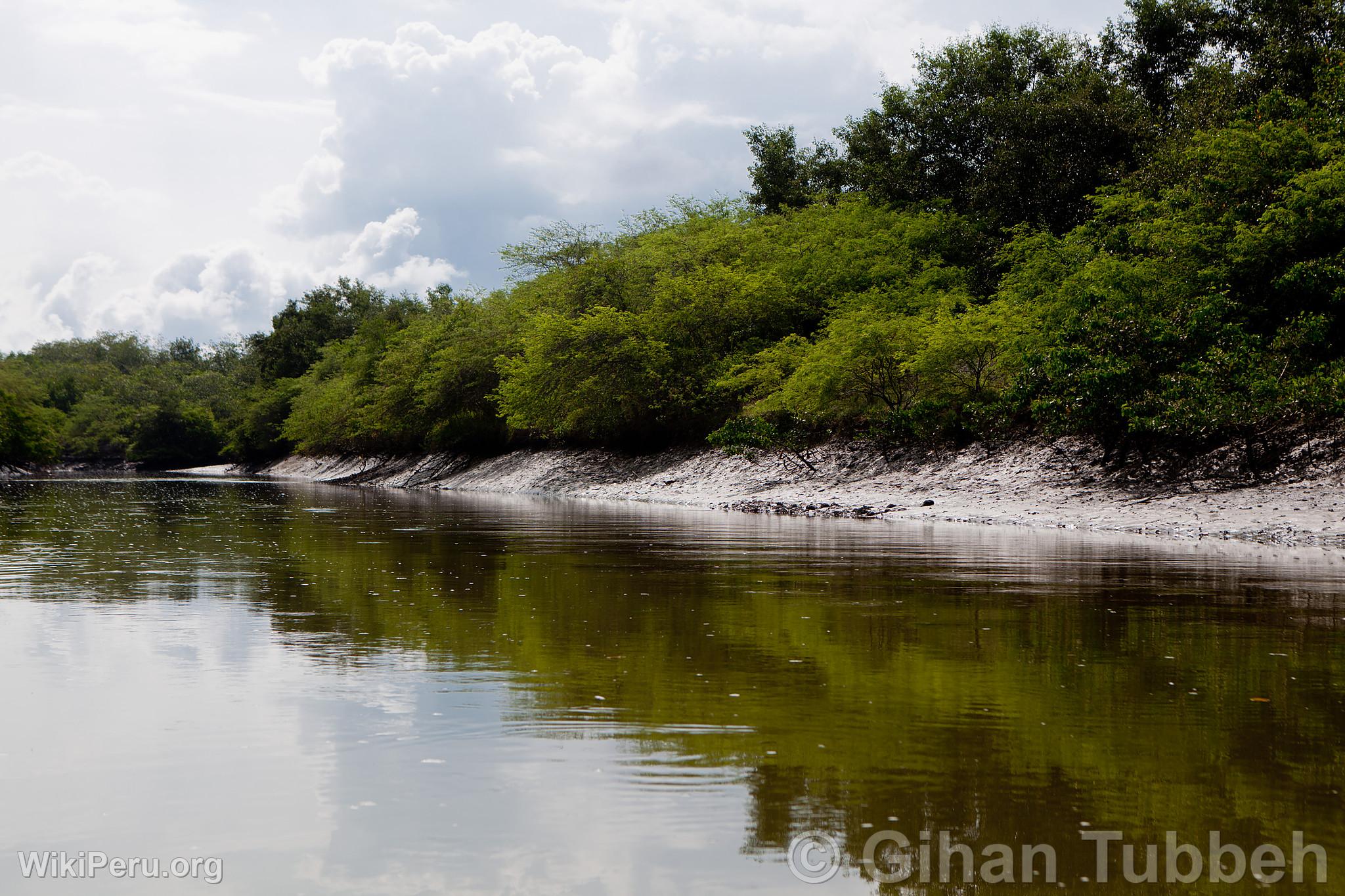 Los Manglares de Tumbes National Sanctuary