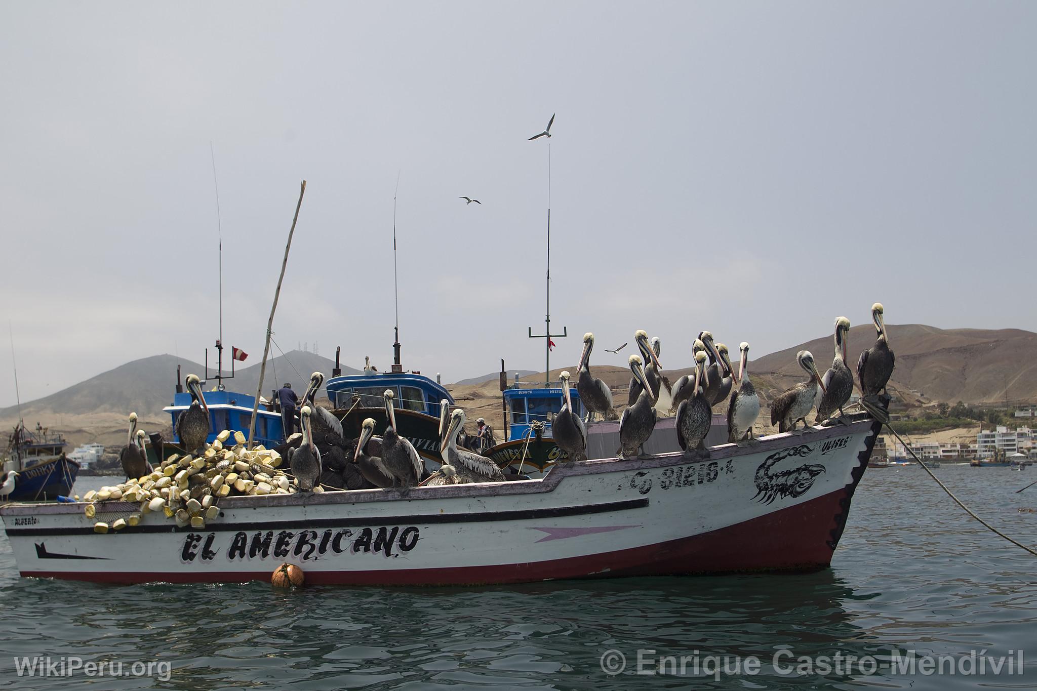 Fishing Boats at the Pucusana Resort