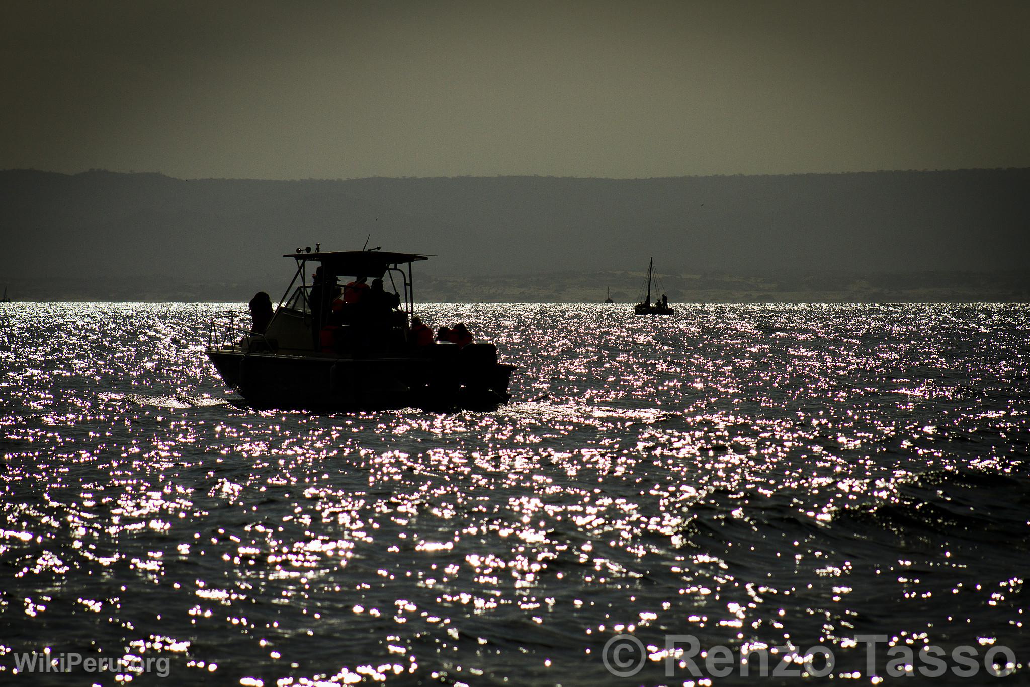 Whale Watching