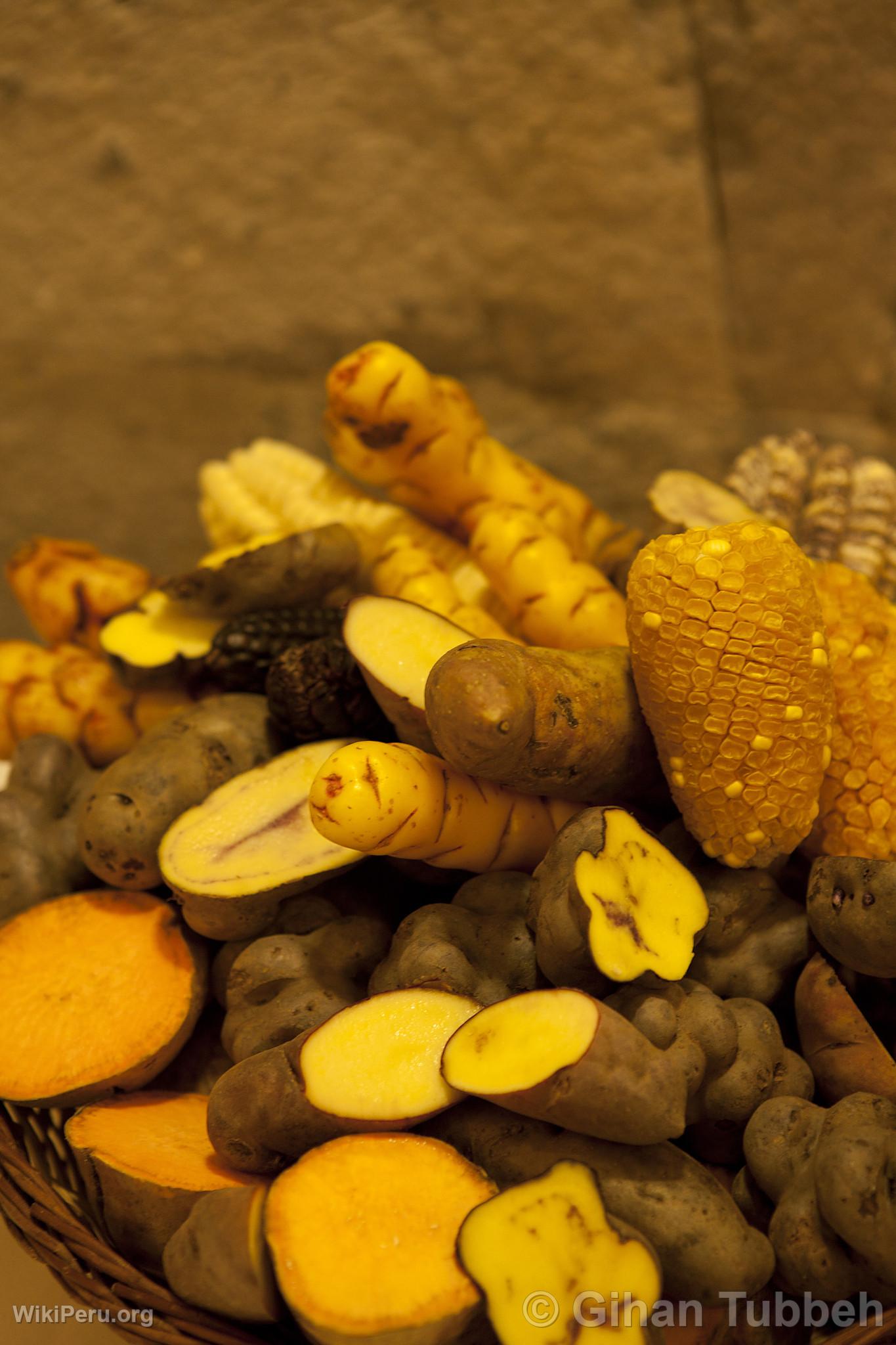 Varieties of Corn and Tubers