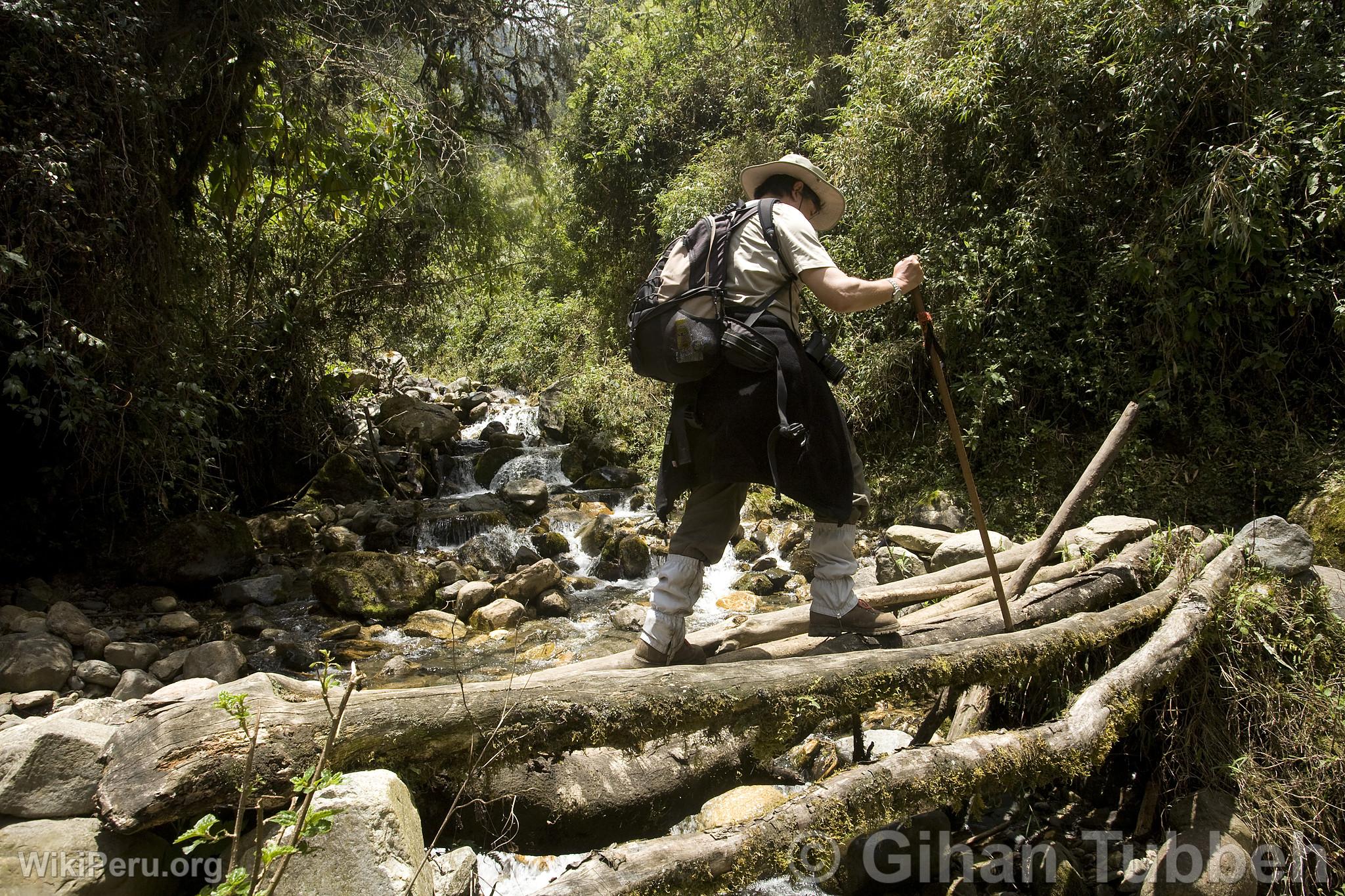 Trekking to Choquequirao