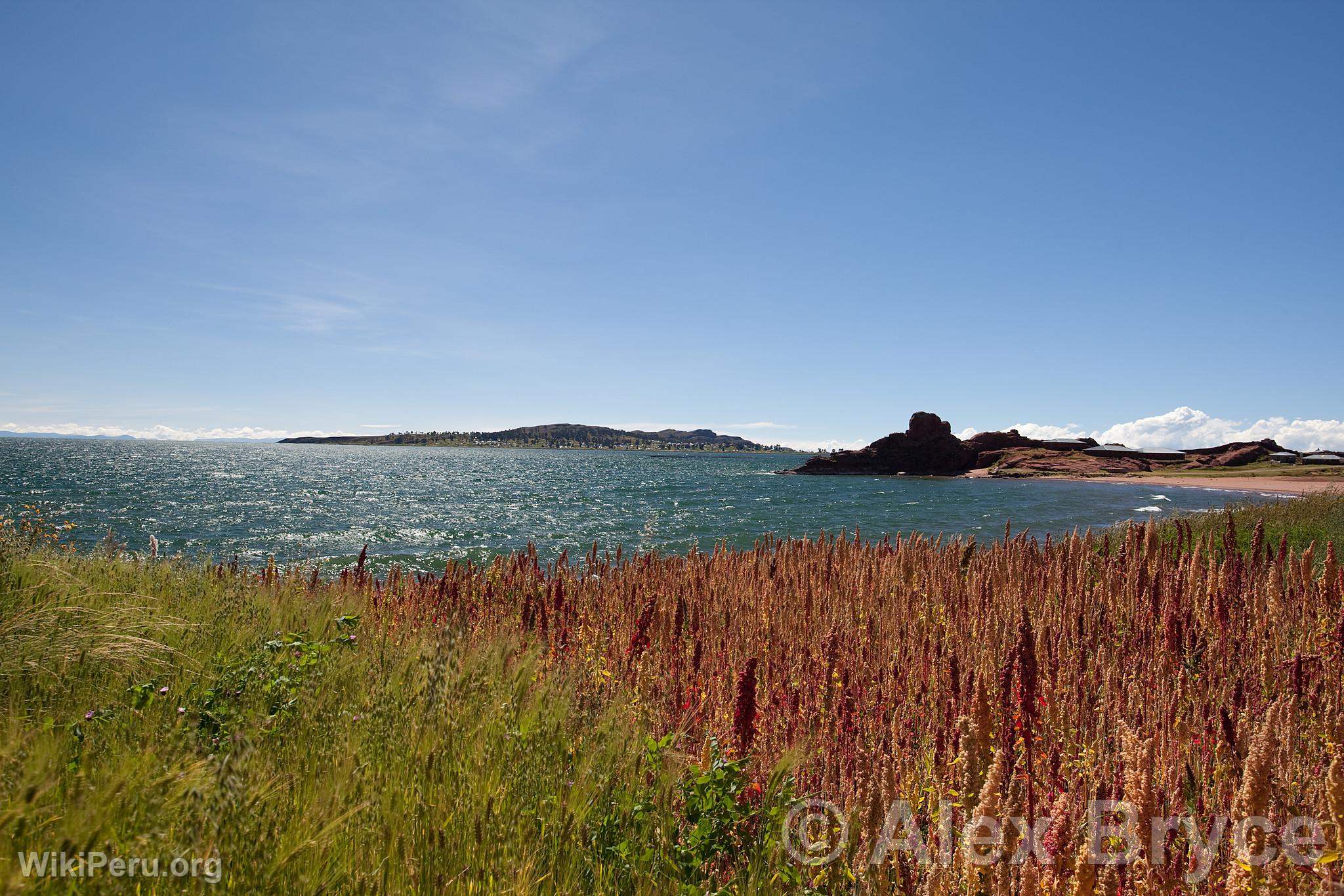 Titicaca Lake