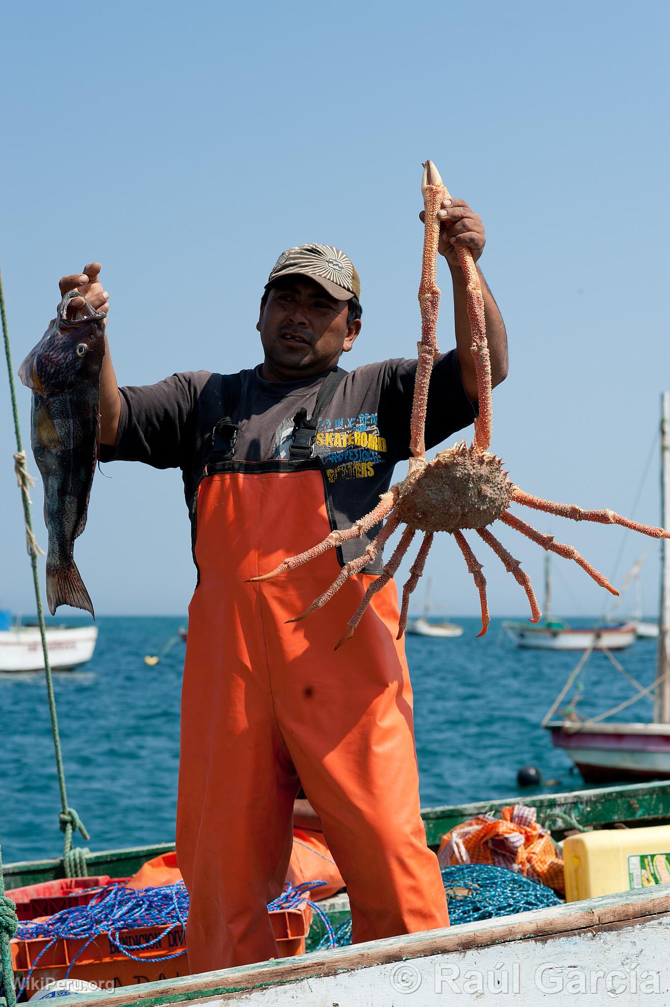 Artisanal Fishing in Mncora