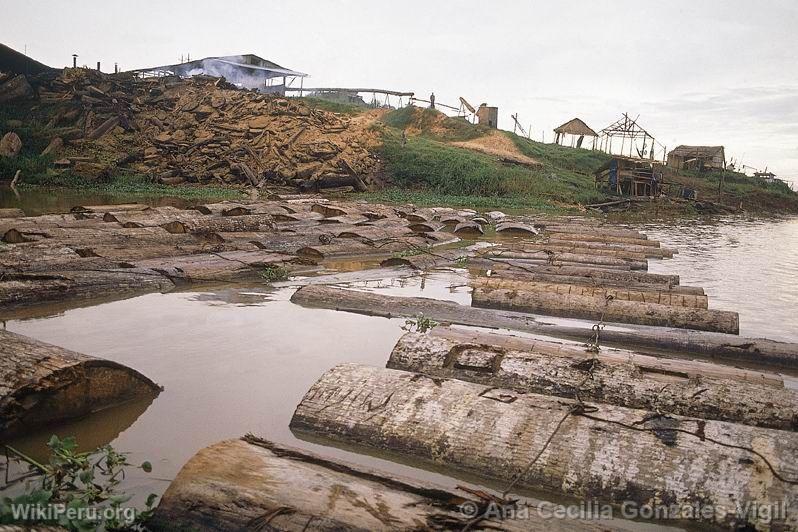 Sawmill in Loreto