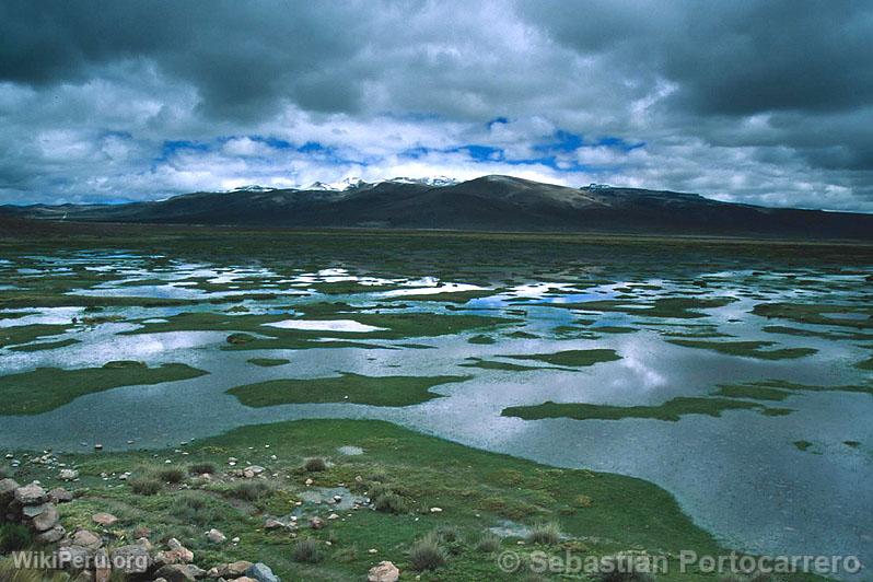 Salinas and Aguada Blanca National Reserve