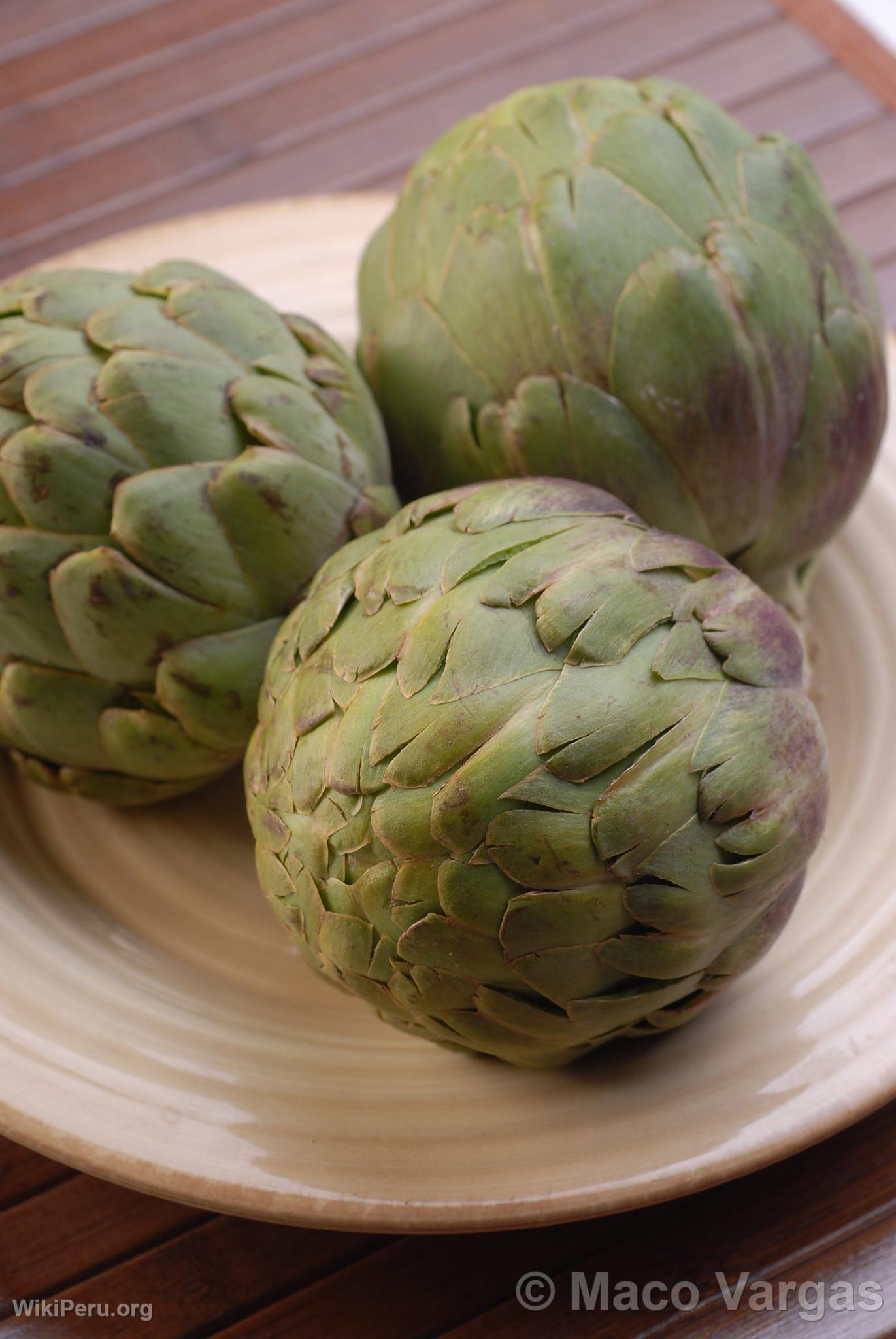 Artichoke