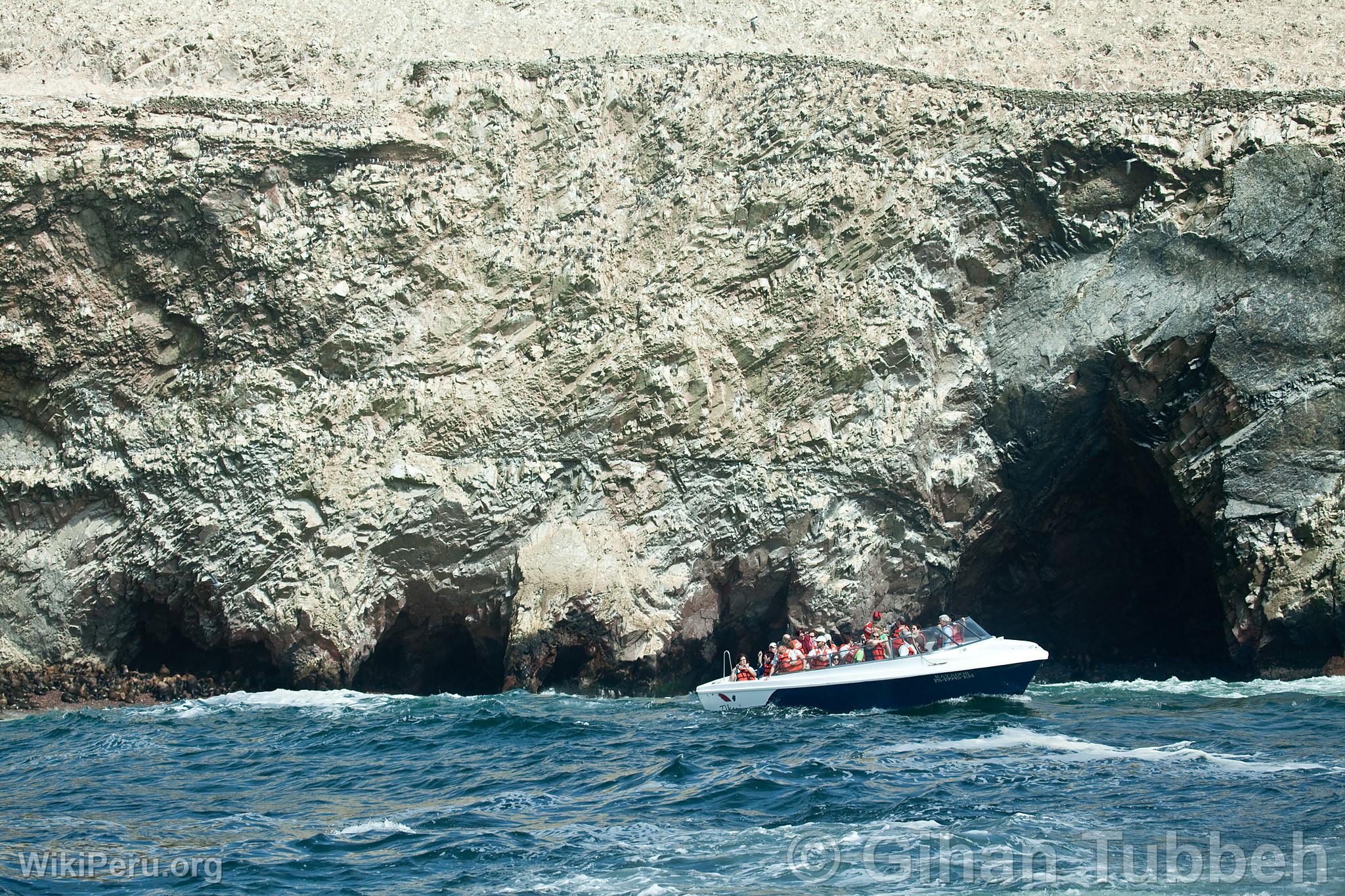 Tourists on a tour to the Ballestas Islands