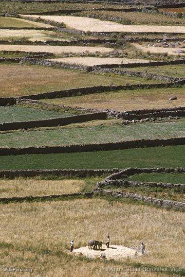 Colca Valley