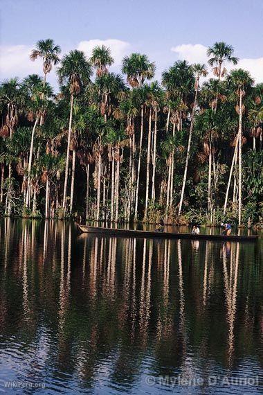 Sandoval Lake, Manu