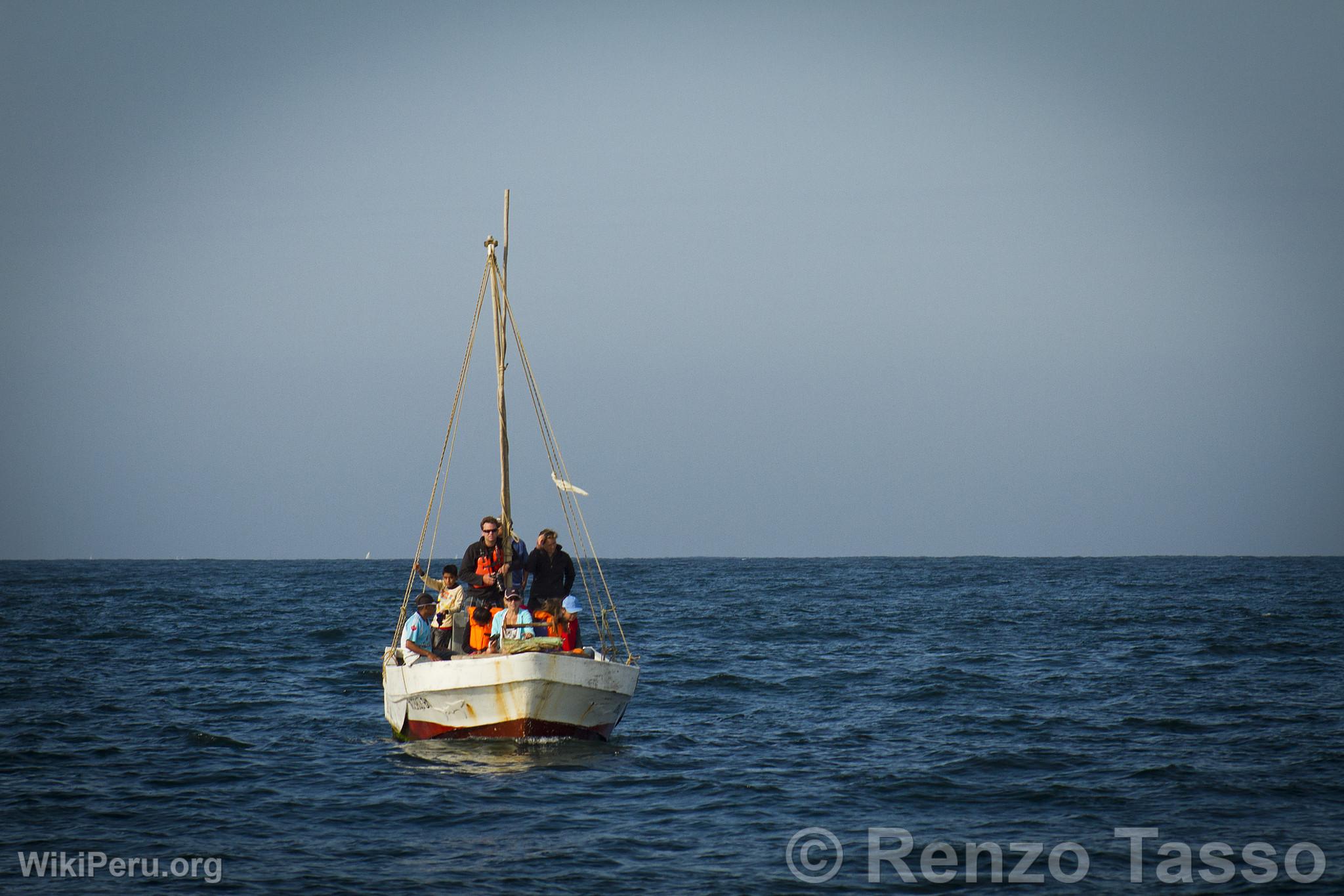 Whale Watching