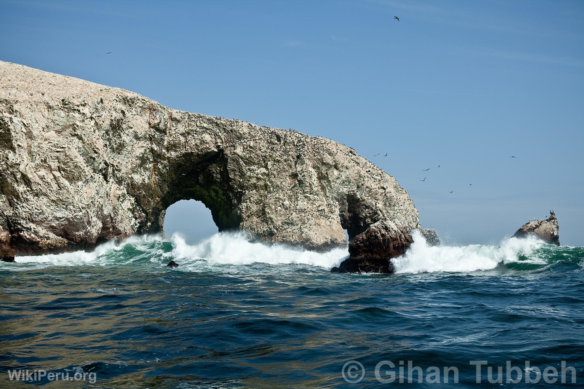 Ballestas Islands, Paracas