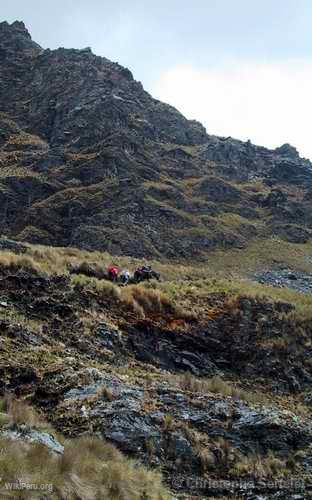 White Cordillera