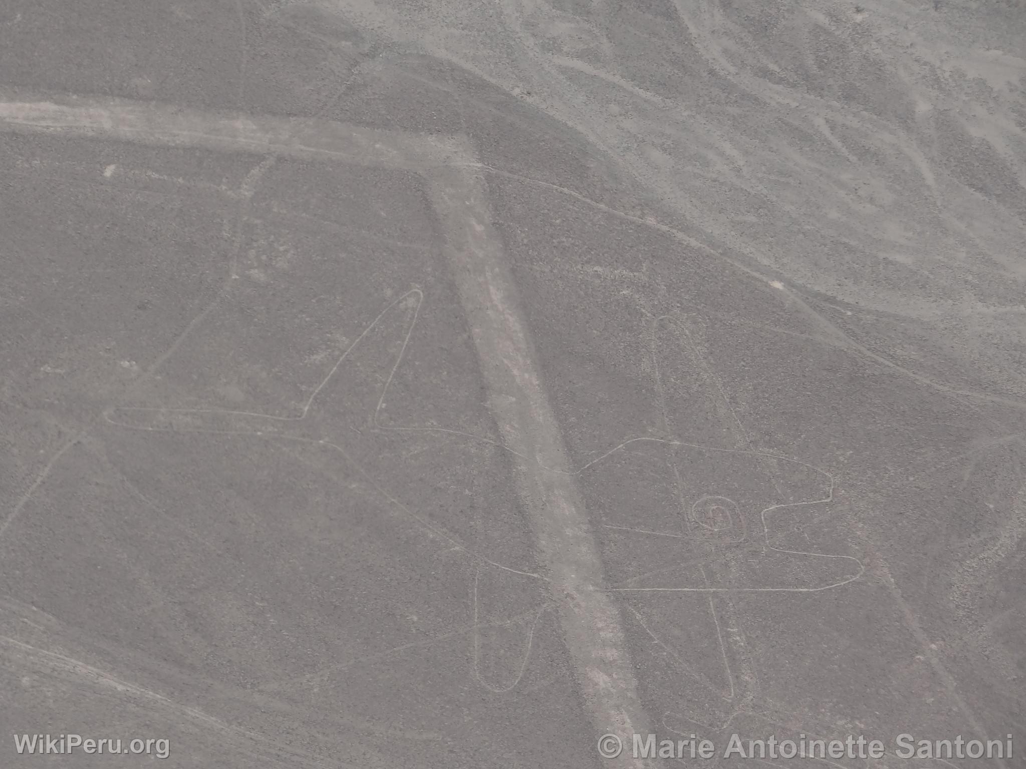 Nazca lines