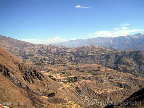 White Cordillera