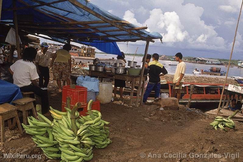 Bananas. Ucayali