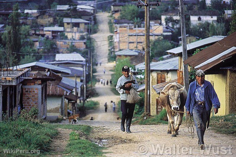 Peasants of Pomacochas