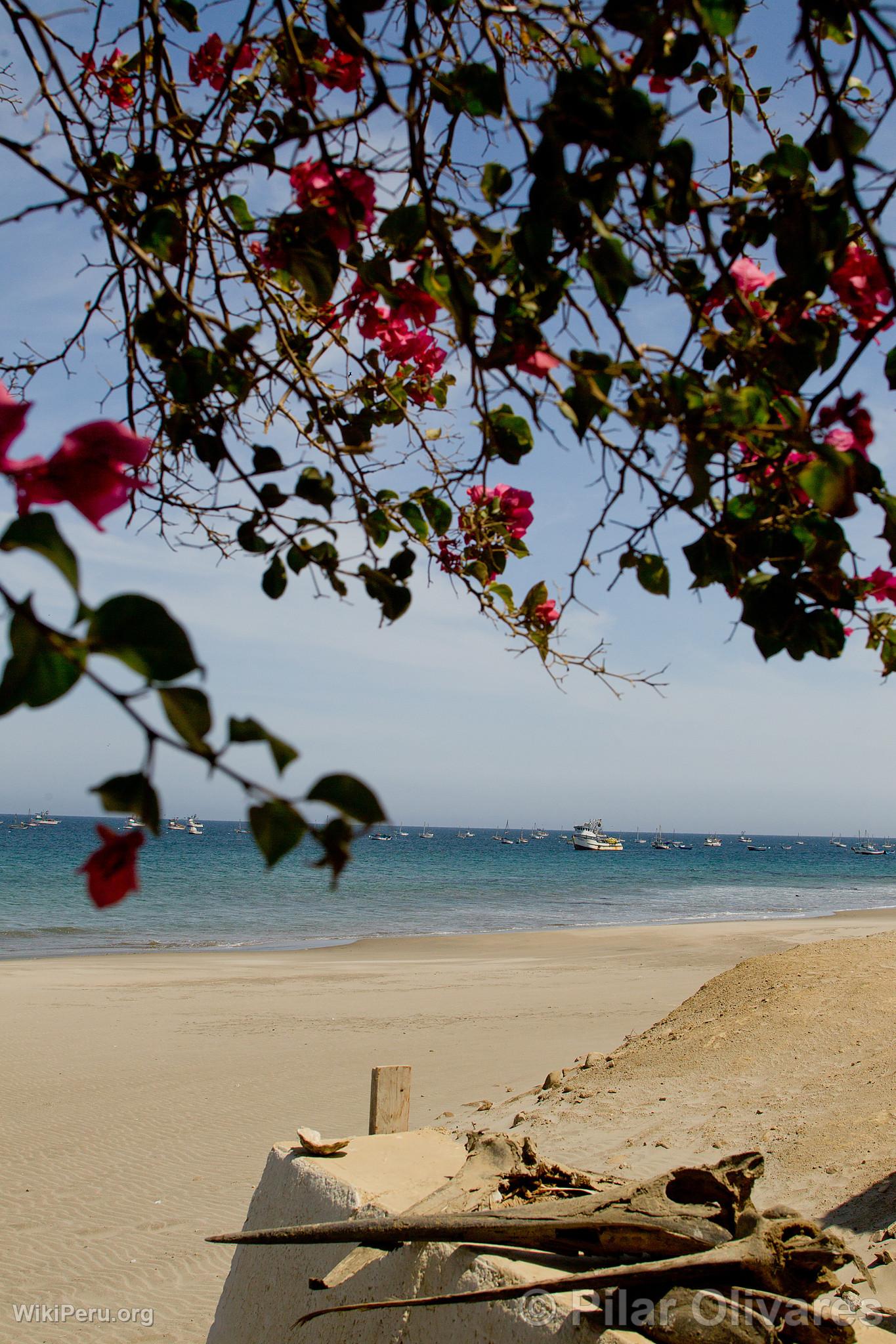 Cabo Blanco Beach