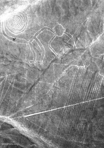 The Monkey, Nazca