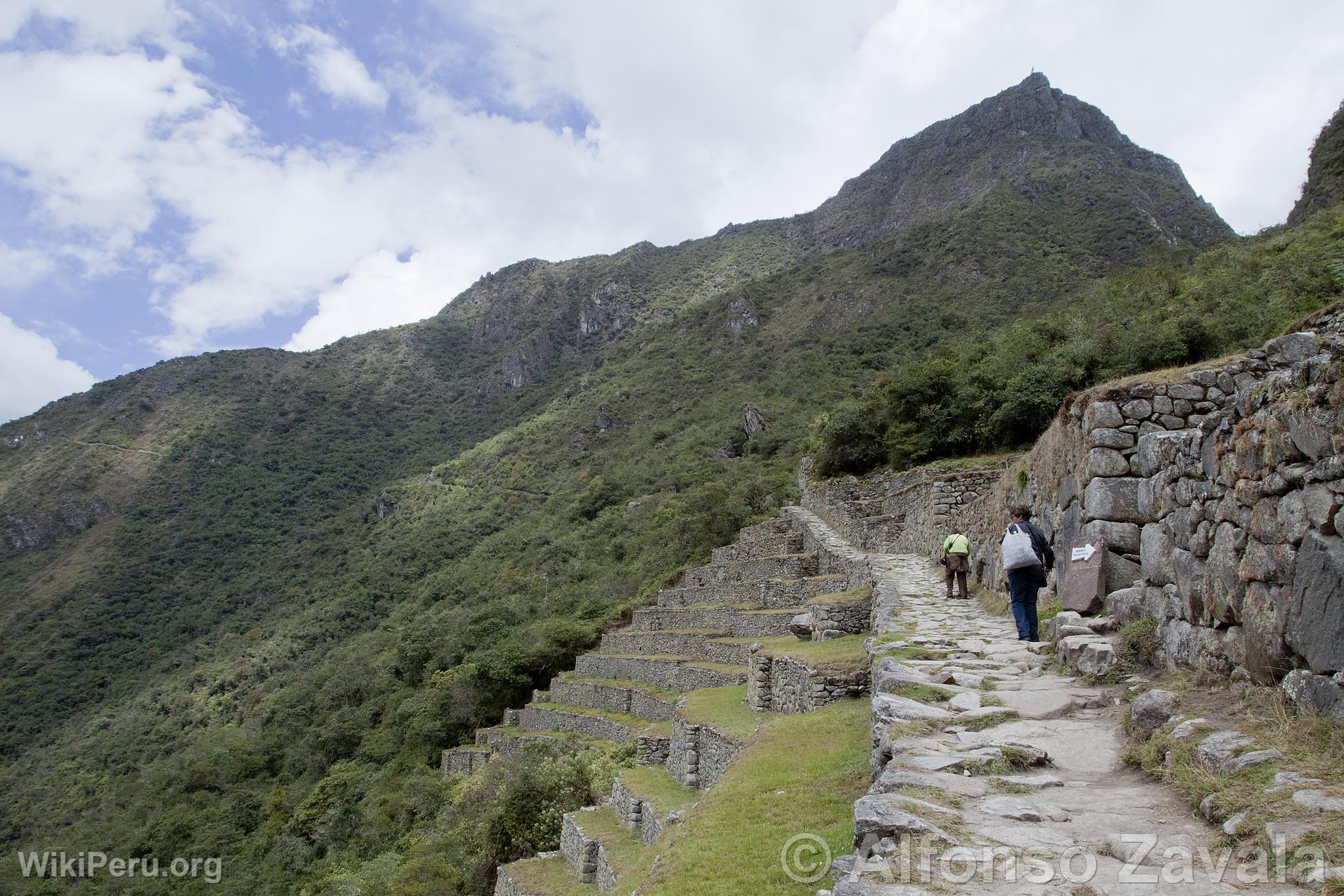 Citadel of Machu Picchu