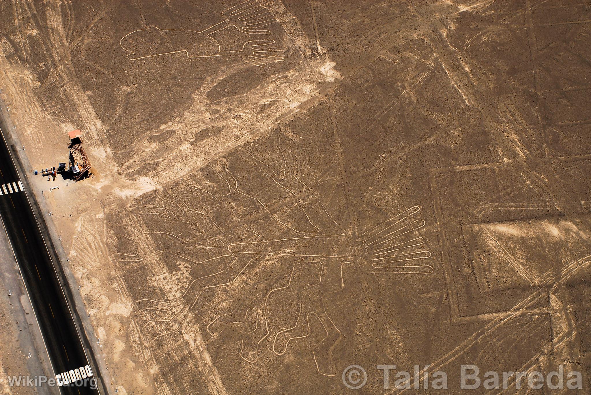 Nazca lines