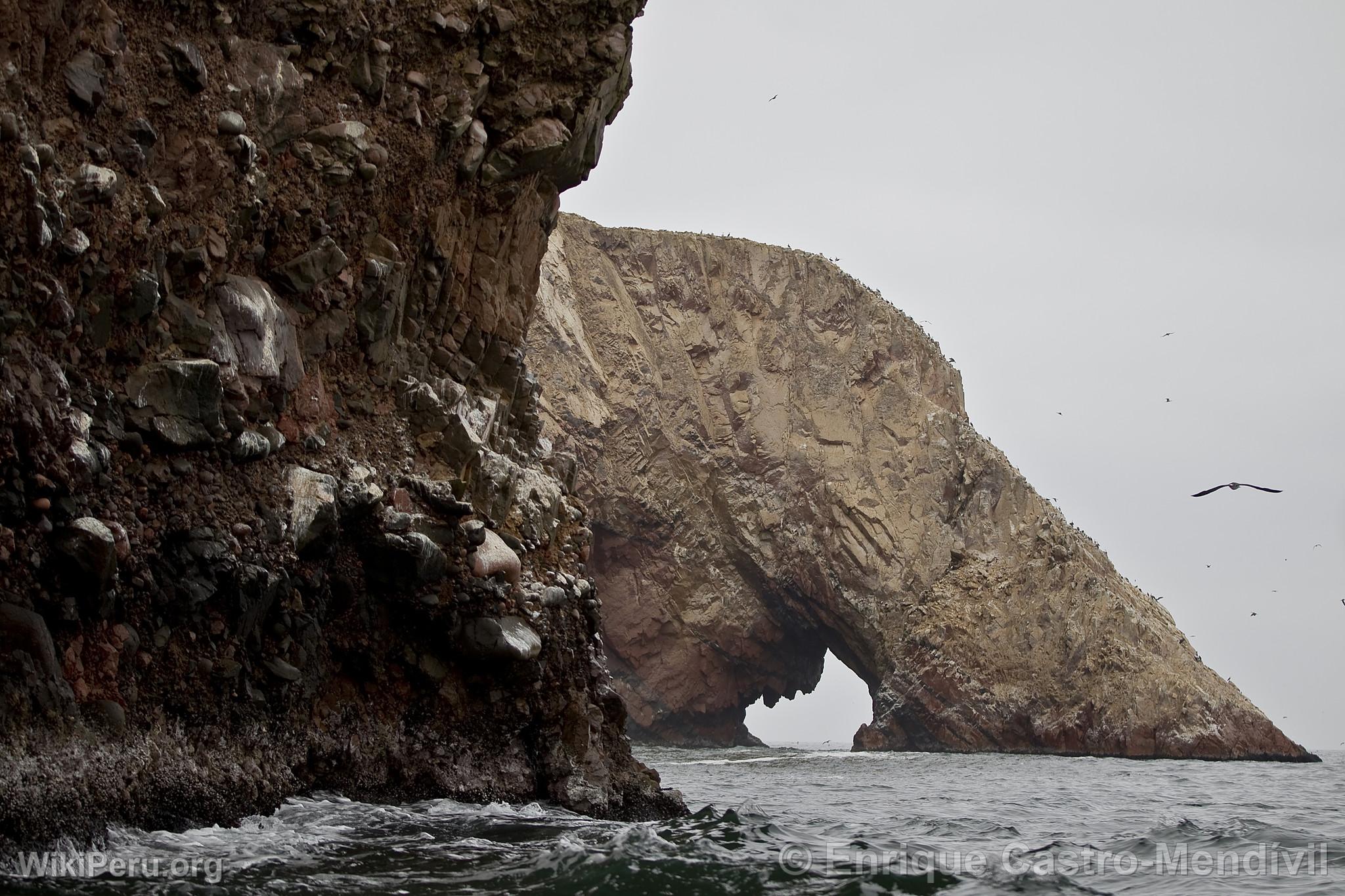 Paracas National Reserve