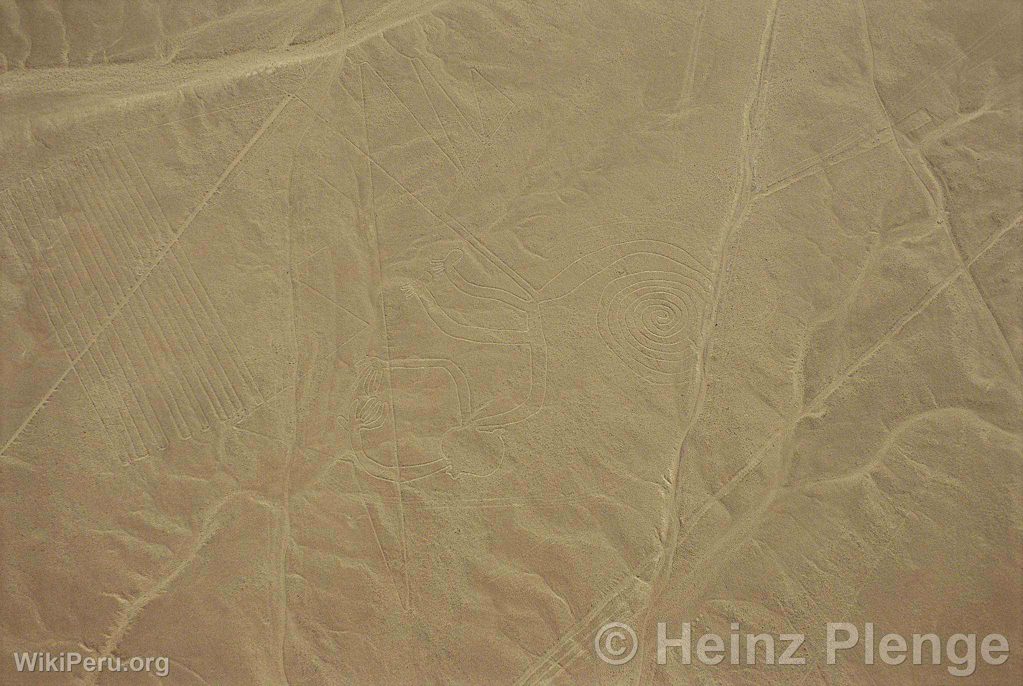 Nazca lines