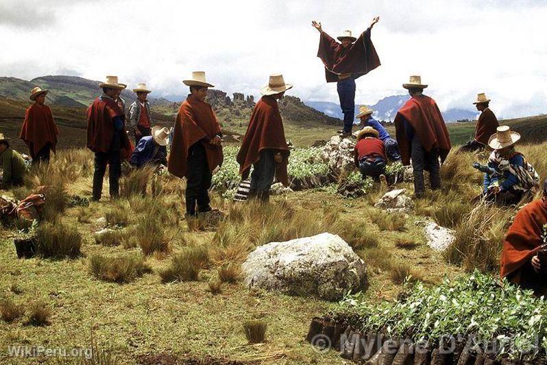 Peasants from Cajamarca