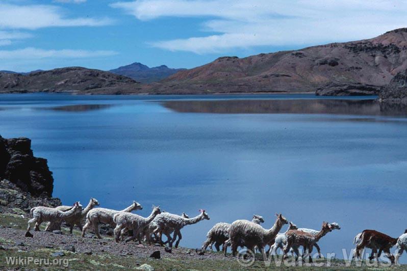 Choclococha Lagoon